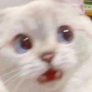 청소년지원센터 | [대학교청소년교육지원장학금] 대청교 아동센터 근로 후기