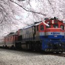 봄 기차 ─ 강은교 이미지