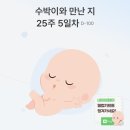 미통 | [25주차] 7개월차 진입 / 예정일 D-100 / 임당 1차검사 / 좌골신경통 / 치핵재발
