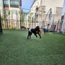 베베네 개스트하우스 이미지