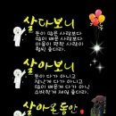 이천약초건강원
