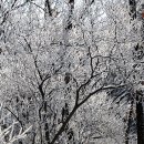 소요산역 앞 이미지