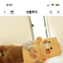 🧸바디 필로우 추천🧸 이미지