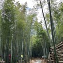 장목주유소 이미지