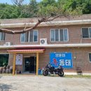 와우정사 | 용인 와우정사 맛집 양푼이신동태 방문 후기