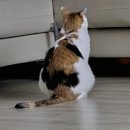 울진제일약국 | 바다보러 가자