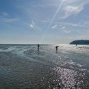 리틀미코노스5 이미지