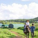 뷰 제주하늘 이미지