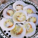 삼삼해물찜 이미지