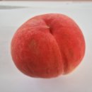 돌돌이네 이미지