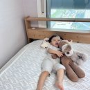 아기 쿨매트 통매쉬라 시원한 쿨팡 듀라론 매쉬