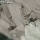 할매손맛집 이미지