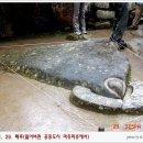 공중도시 이미지