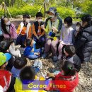 정읍사공원 유아숲체험원 이미지