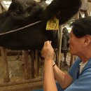 김영찬농장 이미지