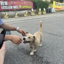 포토랩플러스경기광주점