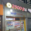 2900냥