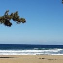 겨울바다 이미지