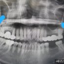 세종금남치과의원 이미지