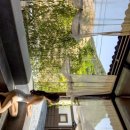 스테이더담 가곡 이미지