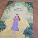 원도안로-19 이미지