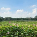 도시공원 행정사사무소 이미지