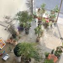 삼간상사