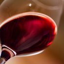 하루한잔 이미지