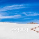 말미목장 네이버블로그
