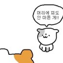 주*례 이미지