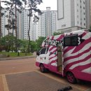 이쁘개 이동미용 | 오늘저녁 출장애견미용 이용후기.어떤가요