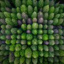 월드태양광 이미지