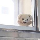 앙 이미지