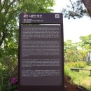 석정오리 티스토리