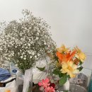 강준영스튜디오