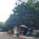 의왕 야장 삼겹살맛집 오전상회 내돈내산 후기