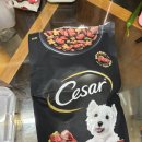 미암공원 | 25.10.09-10.13: 연휴는 끝났다....