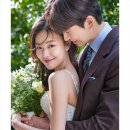 더바오컴퍼니 이미지