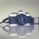 주말 오피스 활용 이미지