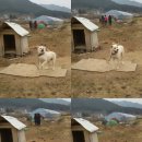 연담농장 이미지