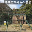 동물원정문자판기 | 후쿠오카 후쿠오카시 동식물원 - 도심내동물원 펭귄 코끼리 기린 유아무료동물원