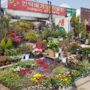 수림꽃농원 이미지