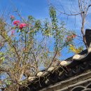 오가네한옥 이미지