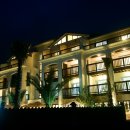 오션트리 이미지