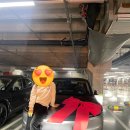 YE'S 트레이닝센터 | 테슬라 광명 딜리버리센터 설레였던 셀프인도 후기