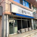 봄 에스테틱 티스토리