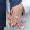 해리컴퍼니
