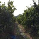 우진영농조합법인 이미지