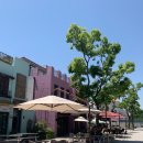 프로방스 이미지