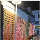 유달산의 아침 이미지